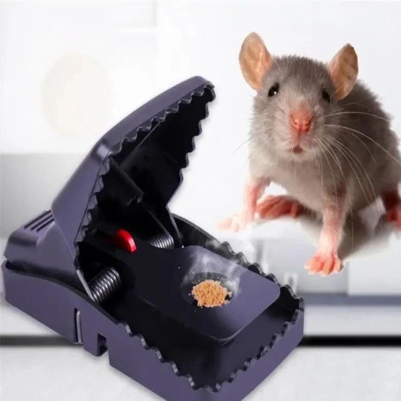 Powerful Mouse Trap (৫ পিস)